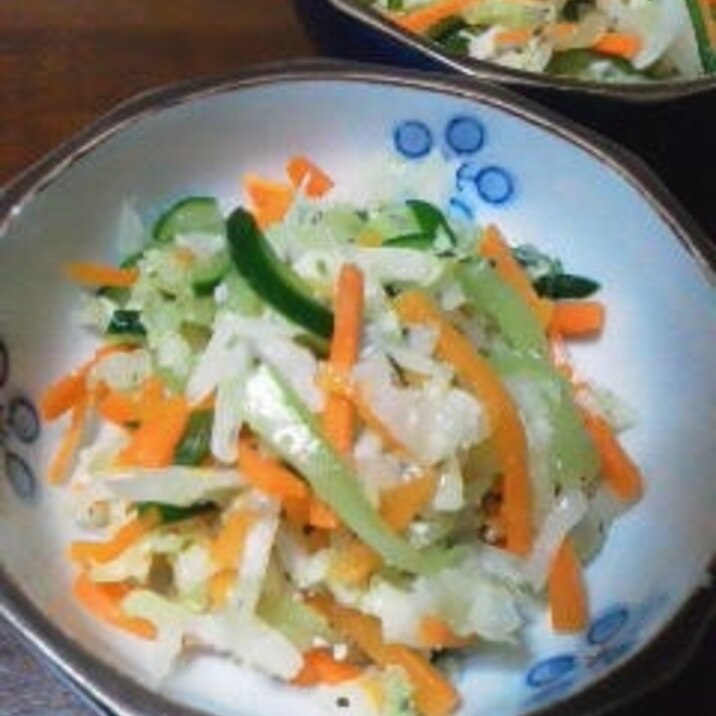 塩麹で野菜たっぷり浅漬けサラダ レシピ 作り方 By 名前はまだない 楽天レシピ 塩麹で野菜たっぷり浅漬けサラダ レシピ 作り方 By 名前はまだない 楽天レシピ